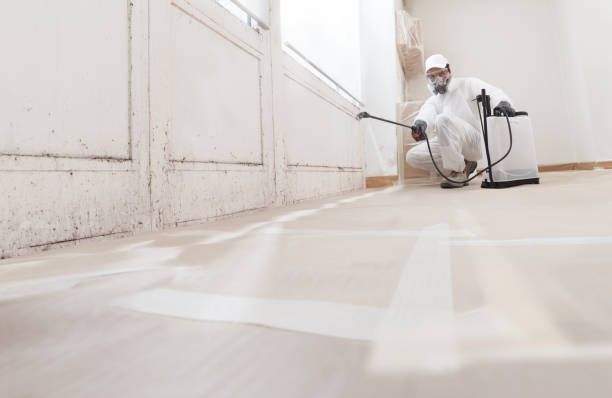 24/7 Emergency Mold Remediation experts in Muskegon, MI